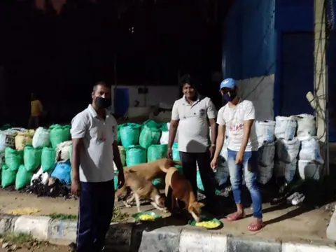Feeding of stray dogs