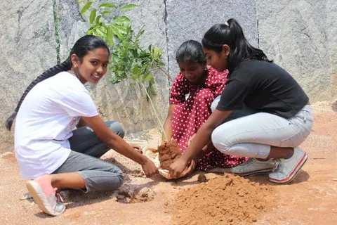 World Environment Day 2023
